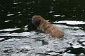 flaten_2008 jul 02_0276